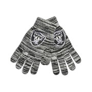 Add Oakland Raiders Colorblend Gloves To Your NFL Collection