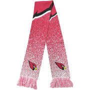 Add Arizona Cardinals Big Logo Knit Scarf To Your NFL Collection